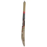 Nelco Gladiator English Willow Cricket Bat